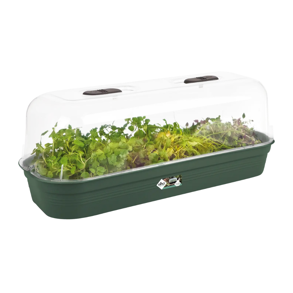 Elho Green Basics kweektray L groen 51.5 cm