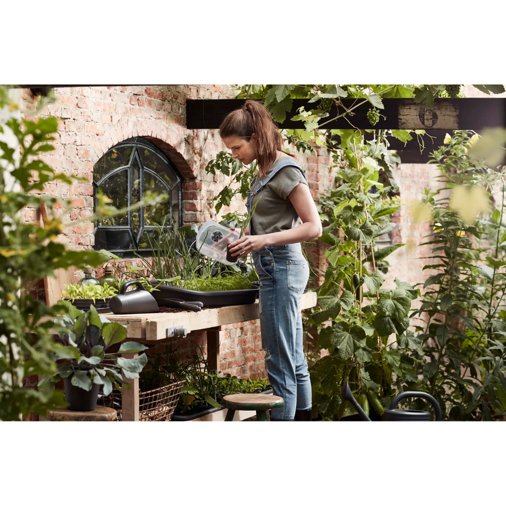 Elho Green Basics Kweekhuis S Transparant
