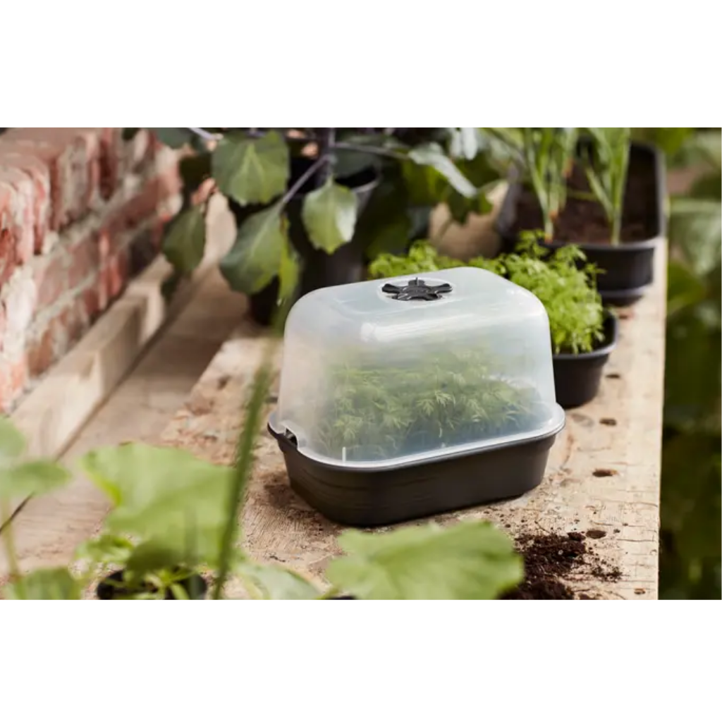 Elho Green Basics Kweekhuis S Transparant