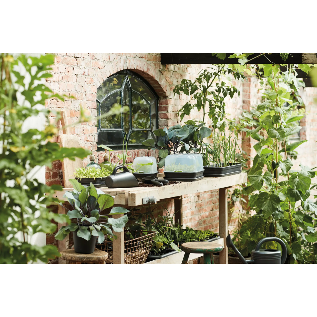 Elho Green Basics Kweekhuis S Transparant