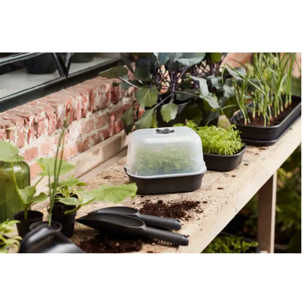 Elho Green Basics kweekhuis M transparant