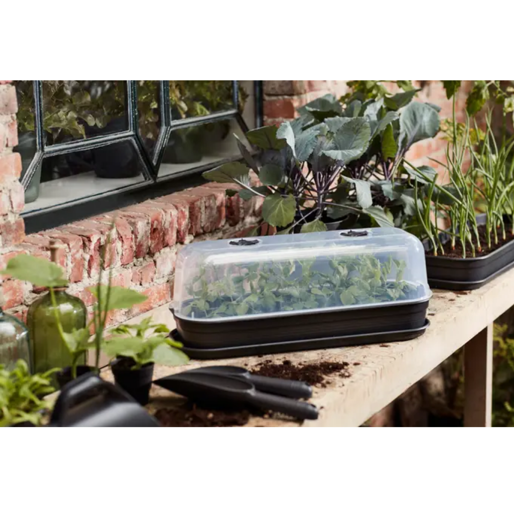 Elho Green Basics Kweekhuis L Transparant