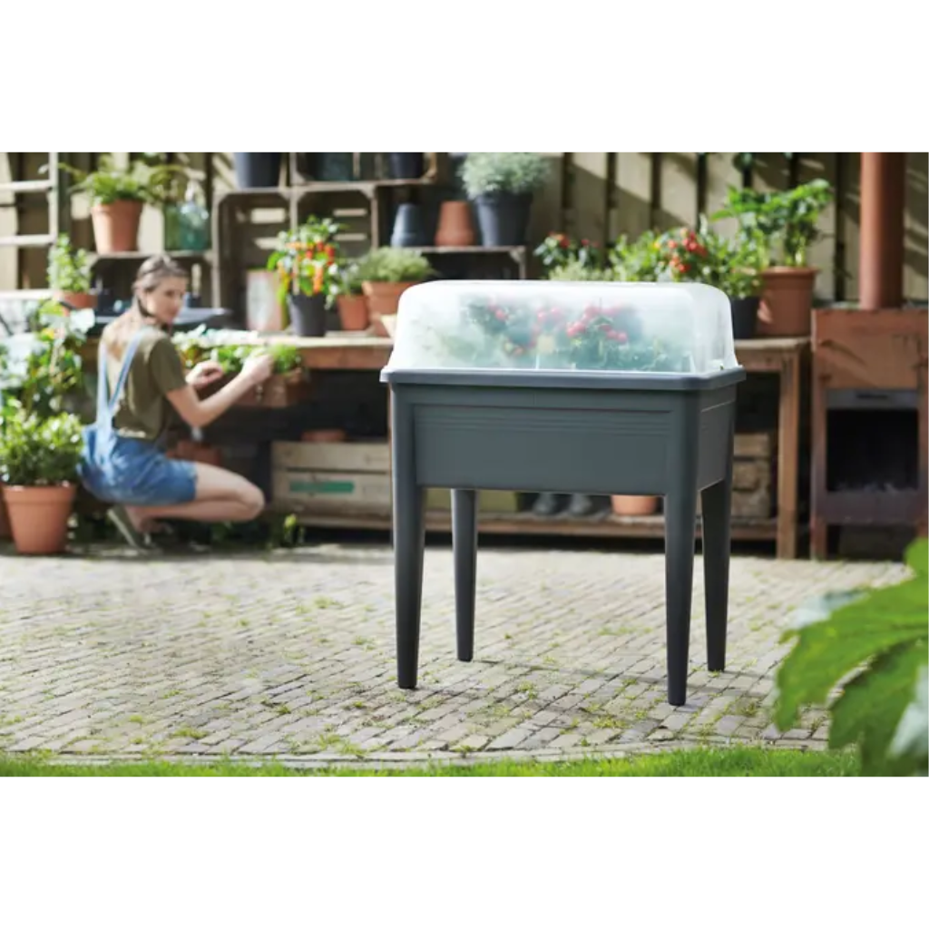 Green Basics Kap voor Kweekhuis XXL Transparant