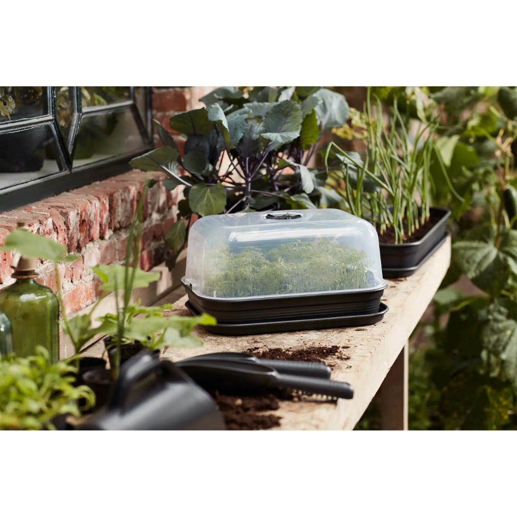 Elho Green Basics kweekset M zwart