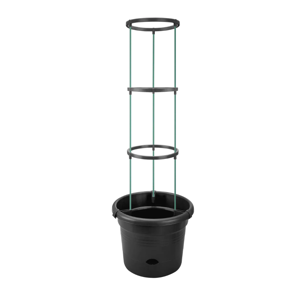 Elho Green Basics Tomaten Pot zwart 33 cm