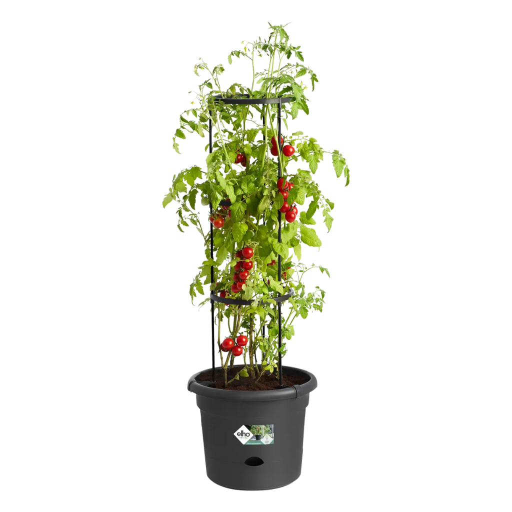Elho Green Basics Tomaten Pot zwart 33 cm