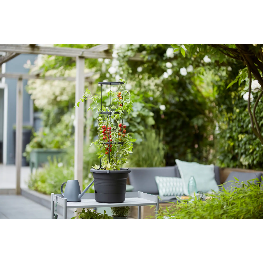 Elho Green Basics Tomaten Pot zwart 33 cm