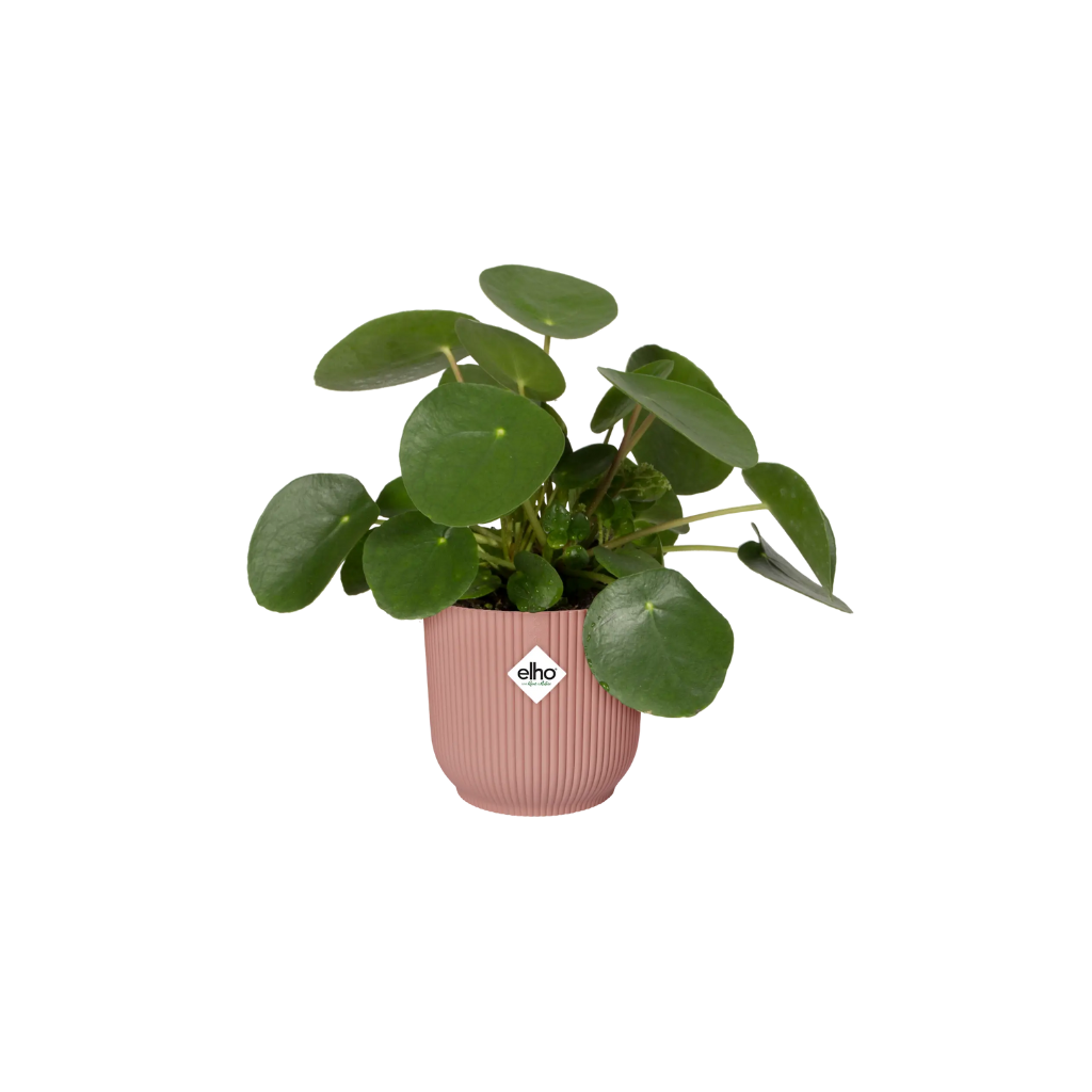 Elho Vibes Fold Rond 14 Delicaat Roze