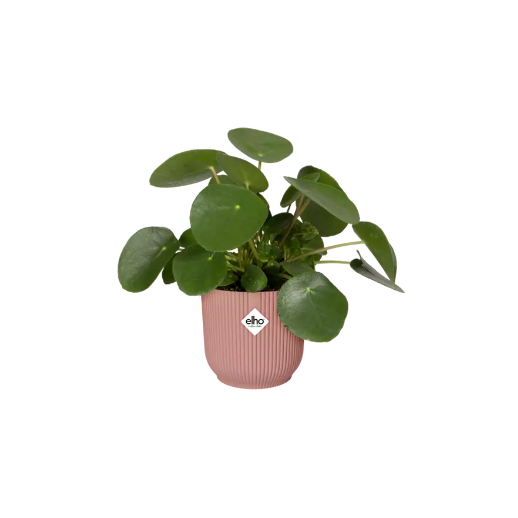Elho Vibes Fold Rond 16 Delicaat Roze