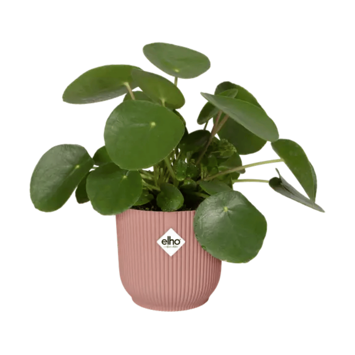 Elho Vibes Fold Rond 16 Delicaat Roze