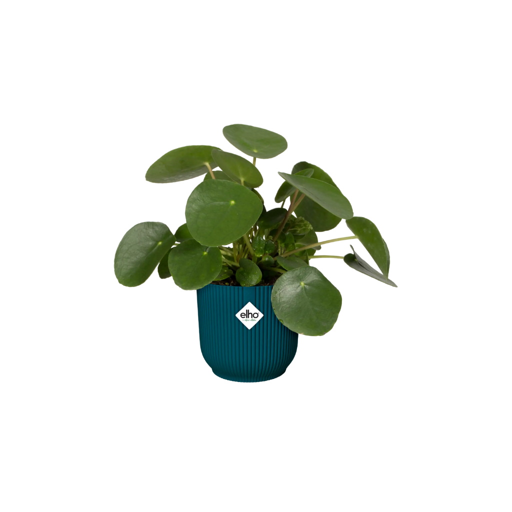 Elho Vibes Fold Rond 16 Diepblauw