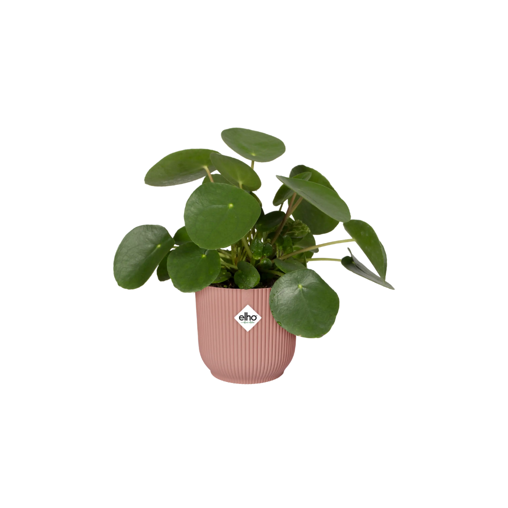Elho Vibes Fold Rond 18 Delicaat Roze