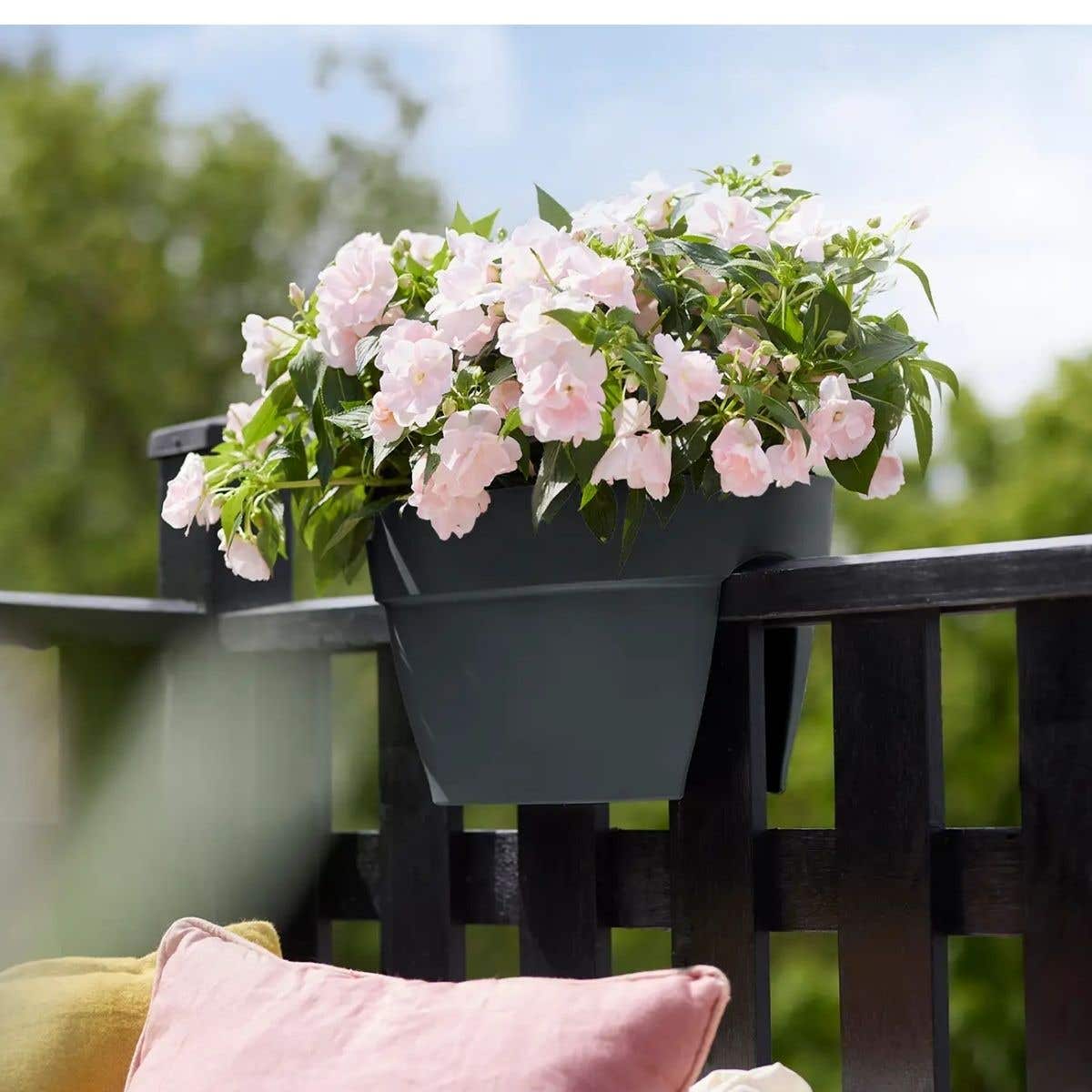 Elho Balkonbak Vibia Campana Flower Bridge Antraciet 40 x 26 x 22 cm