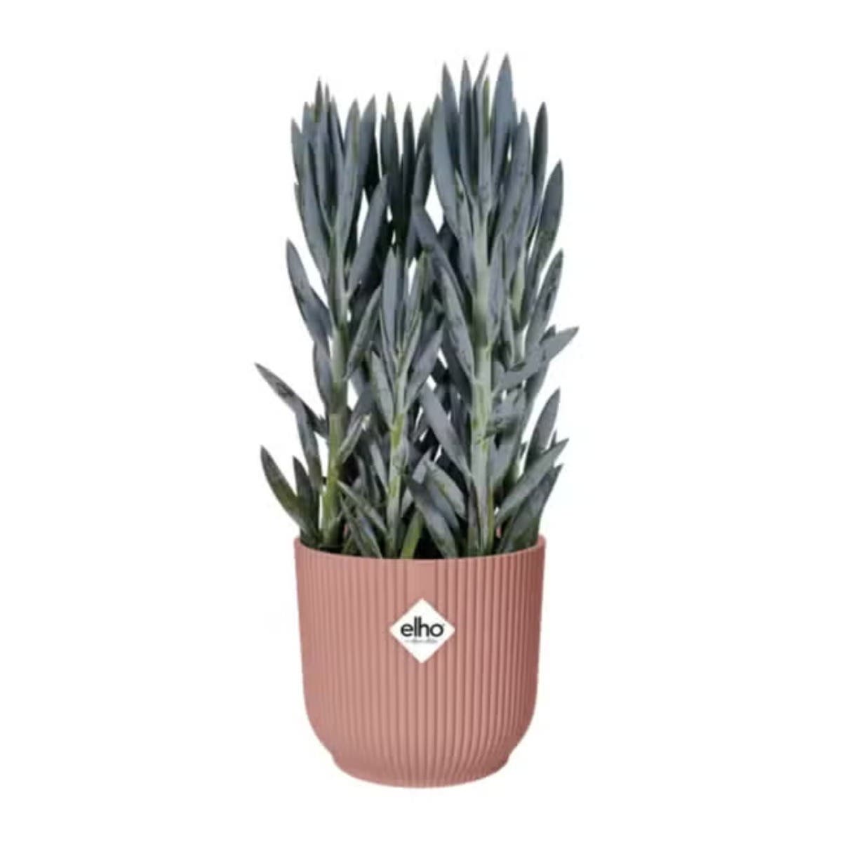 Elho Vibes Fold Rond 25cm Delicaat Roze