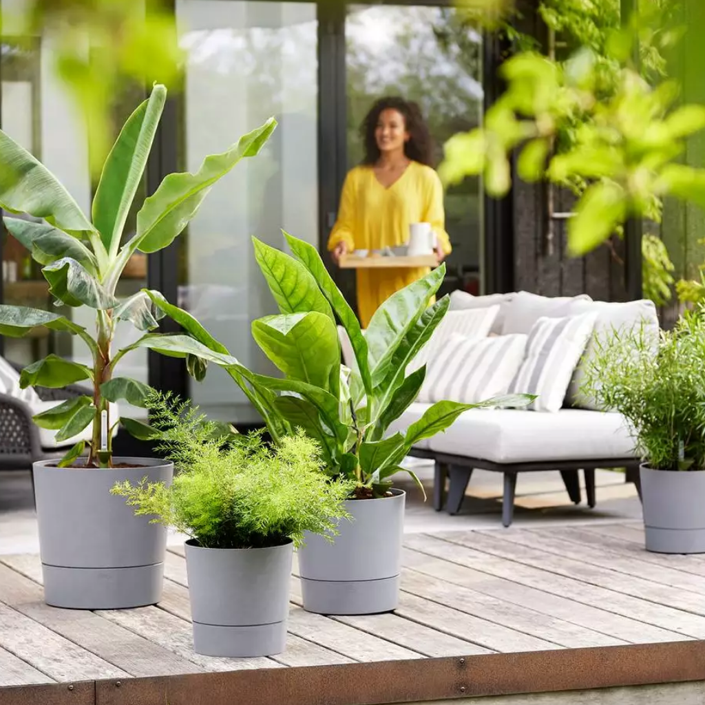Greensense Aqua Care Rond Licht Beton