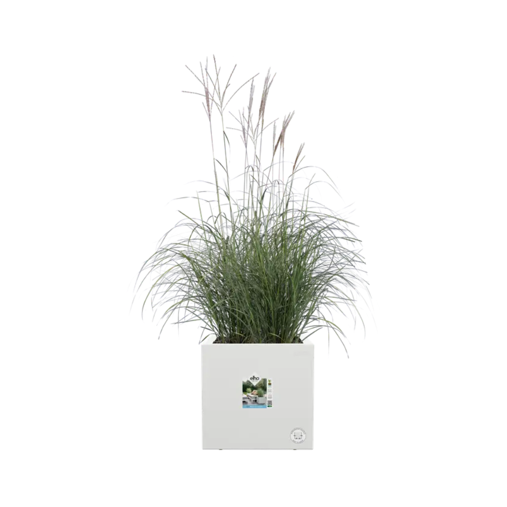 Elho Plantenbak Vivo Next Vierkant 40 Wit