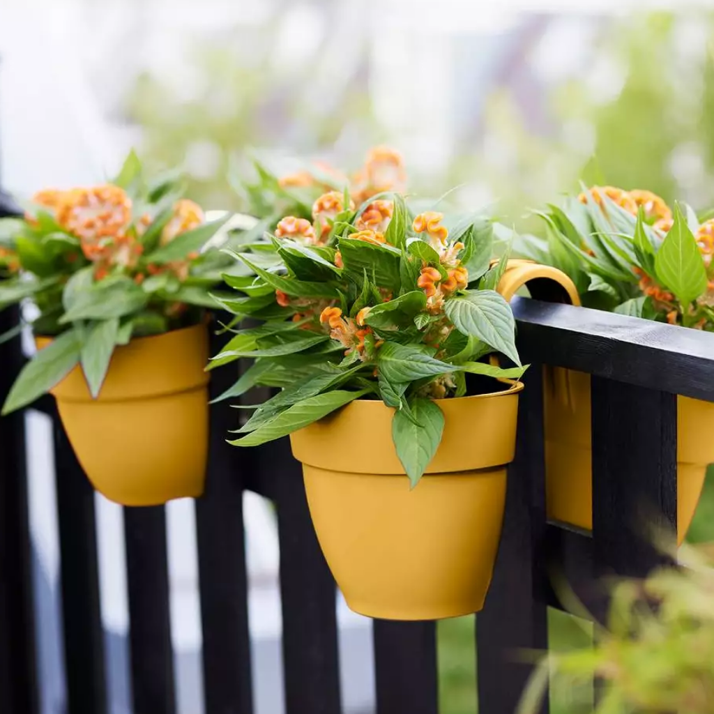 Elho Vibia Campana Flower Twin Honinggeel