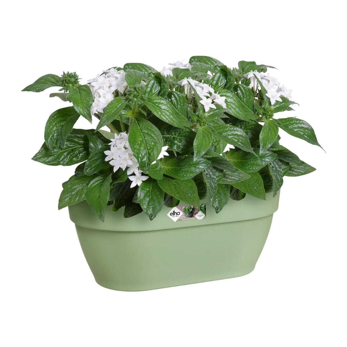 Elho Wandbak Vibia Campana Pistachegroen 35 x 15 x 16 cm