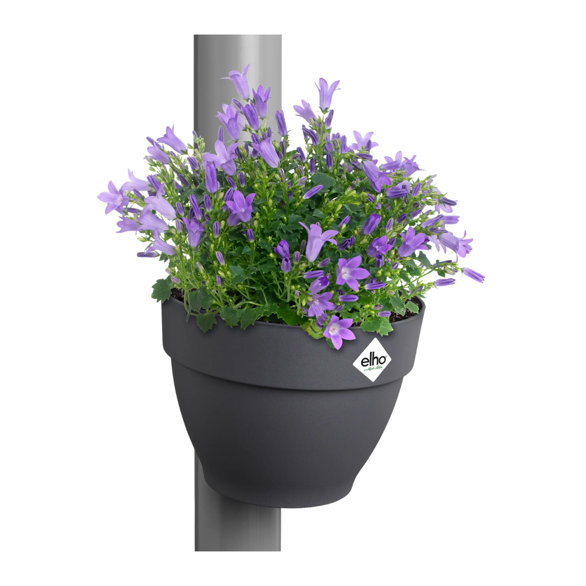 Elho Regenpijpbakje Vibia Campana Antraciet 19 x 16 cm