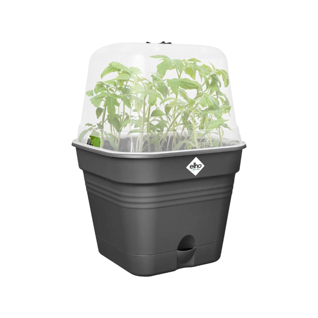 Elho Green Basics kweekpot Allin1 zwart 20cm