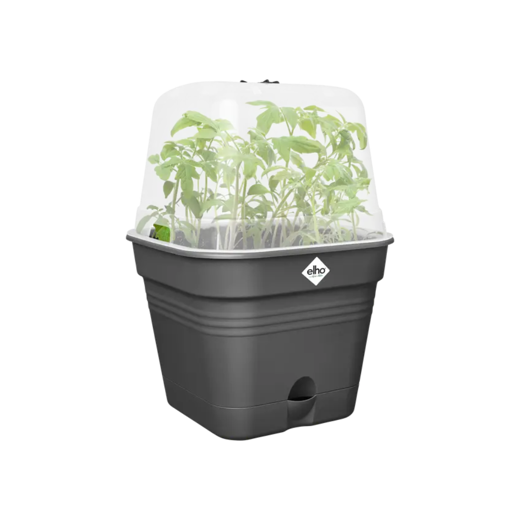 Elho Green Basics kweekpot Allin1 zwart 25 cm