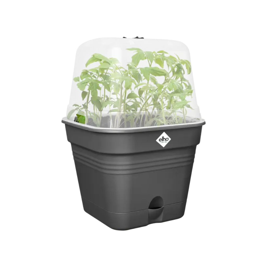Elho Green Basics kweekpot Allin1 zwart 35 cm
