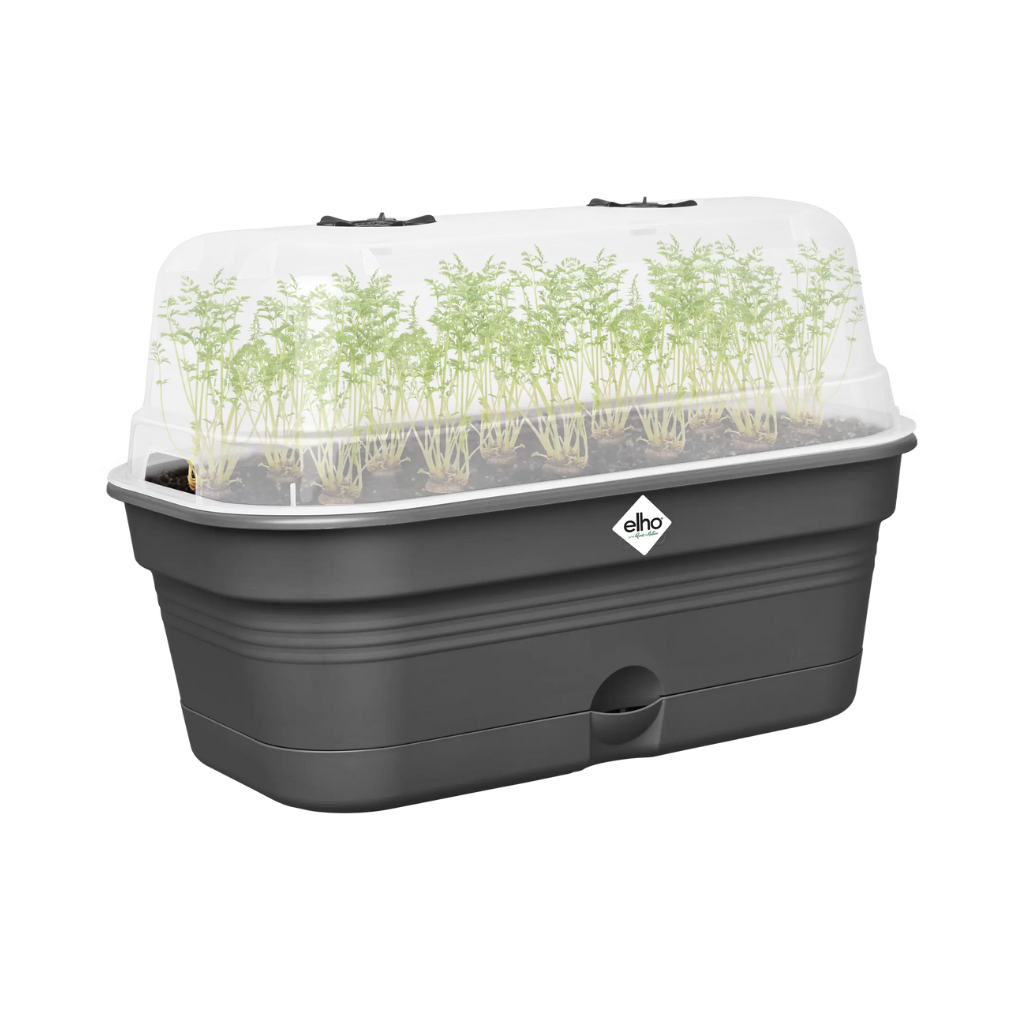 Elho Green Basics kweektray Allin1 M zwart