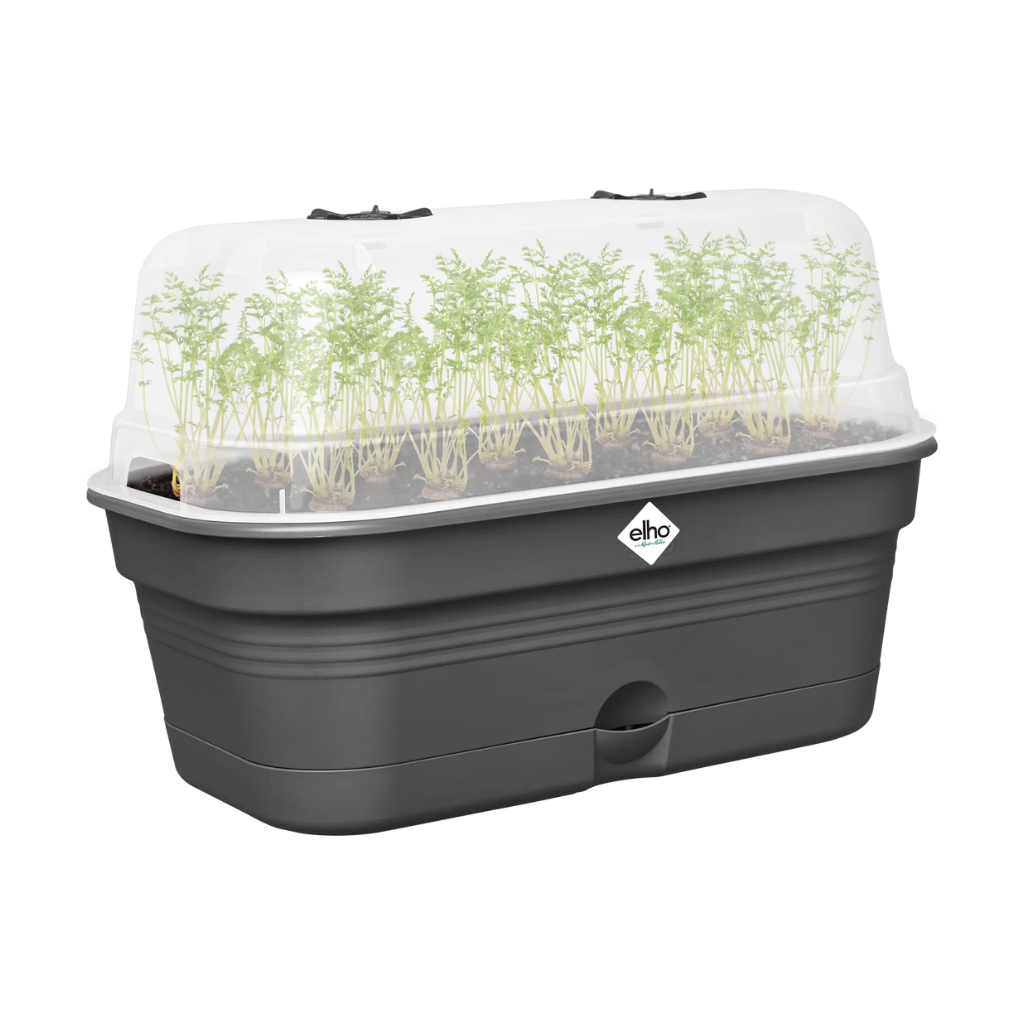 Elho Green Basics kweektray Allin1 L zwart
