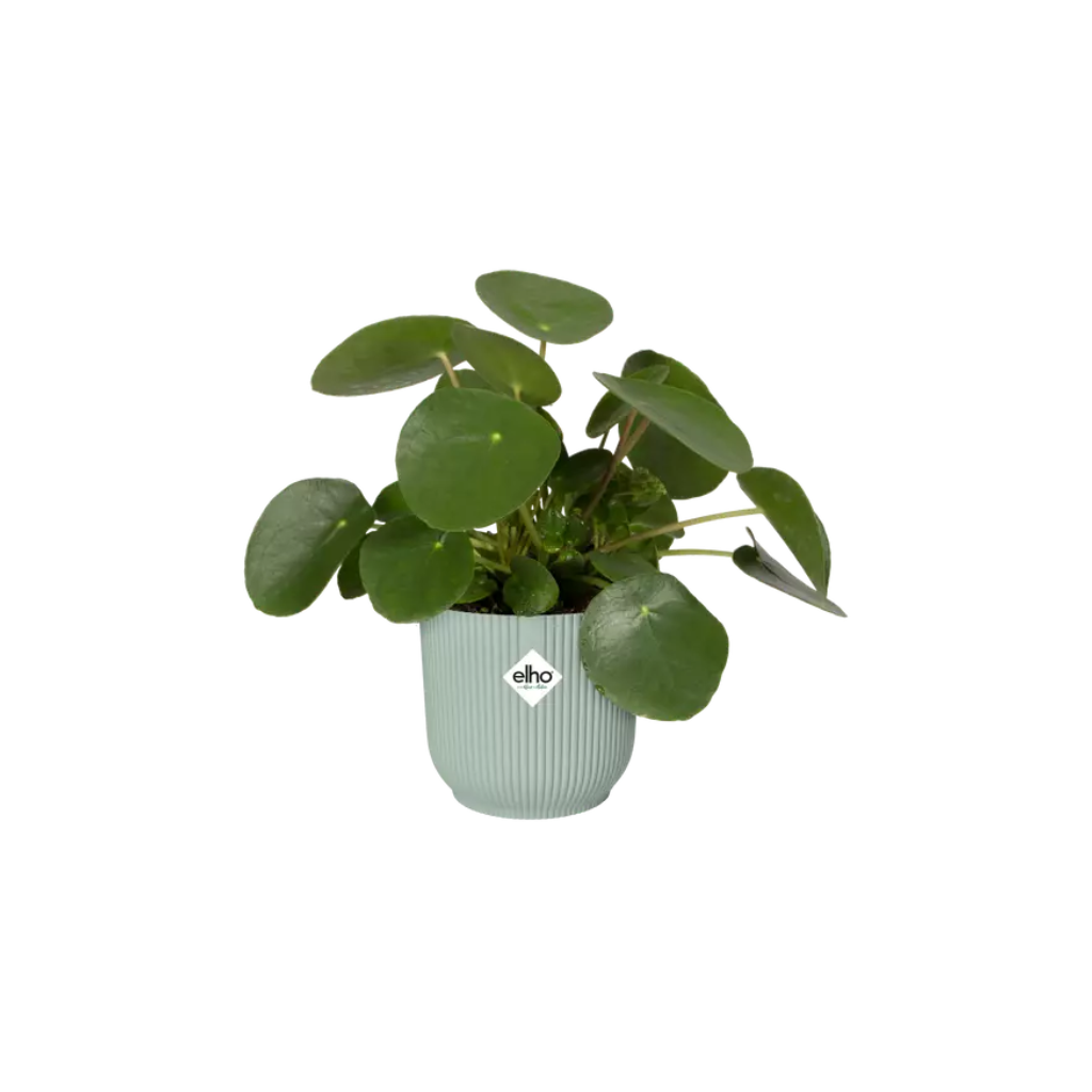 Elho Vibes Fold Rond 14 Sorbet Groen