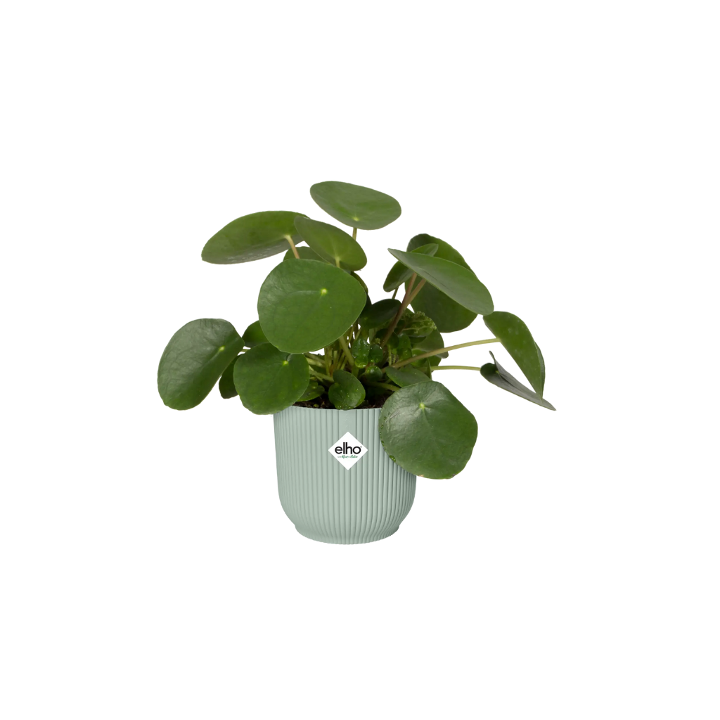 Elho Vibes Fold Rond 18 Sorbet Groen