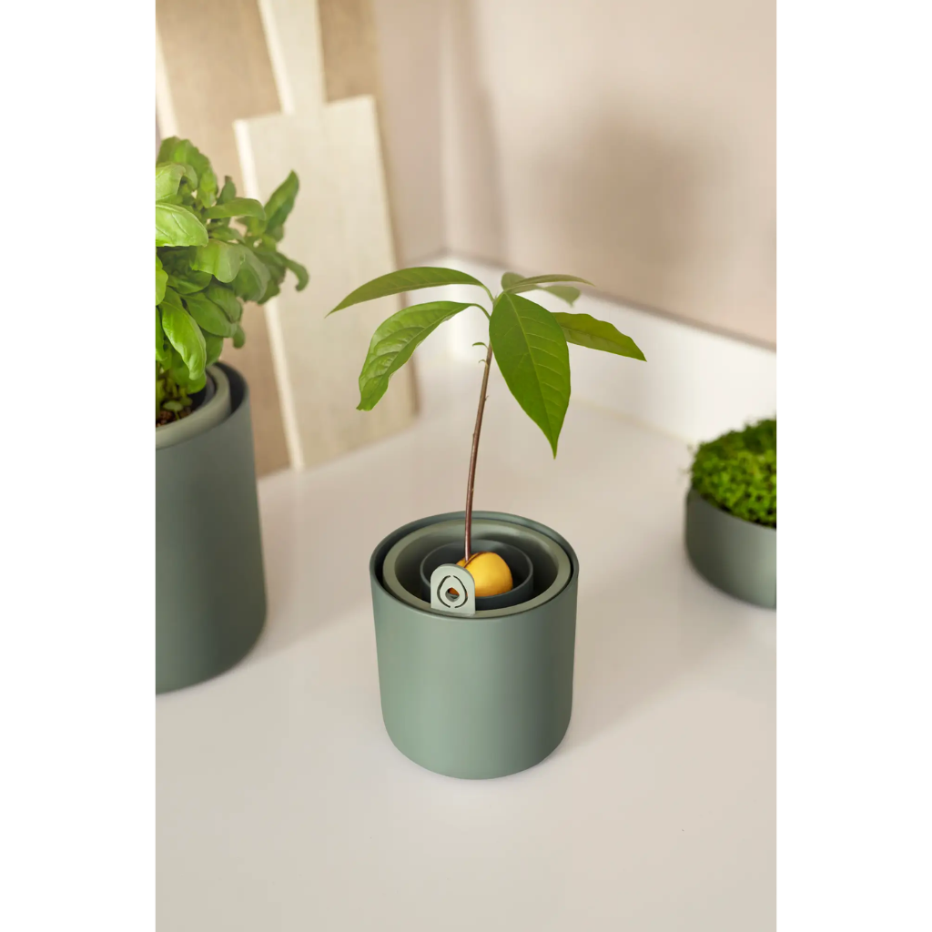 Elho Amazing Avocado Pot Blad Groen