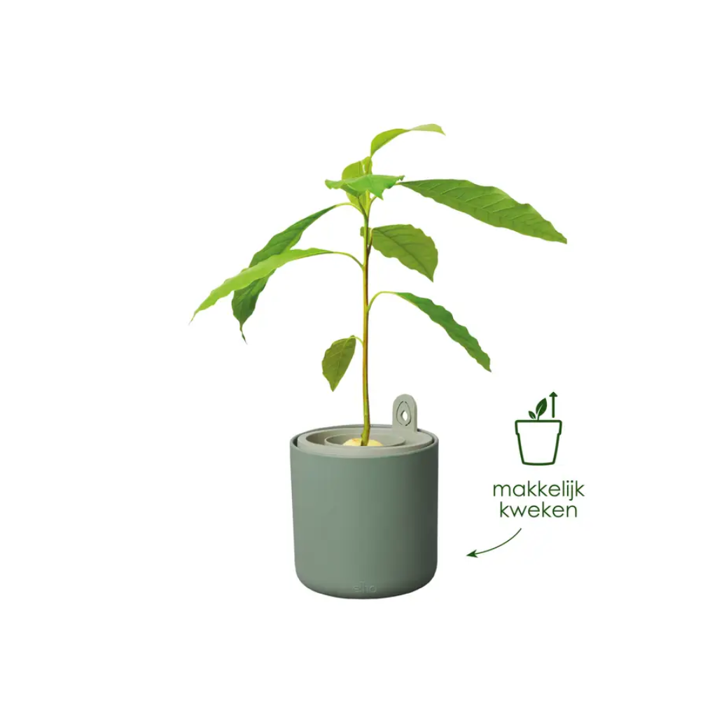 Elho Amazing Avocado Pot Blad Groen