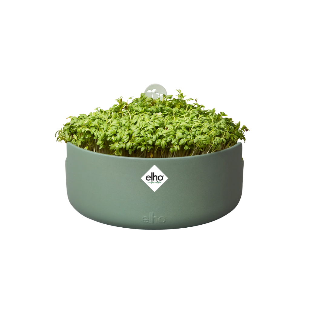 Elho Magic Microgreens Blad Groen
