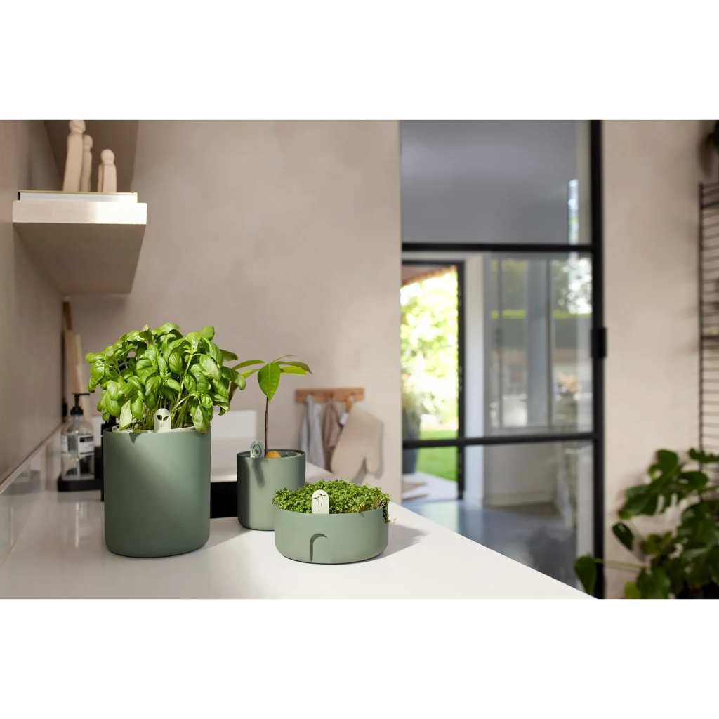 Elho Magic Microgreens Blad Groen