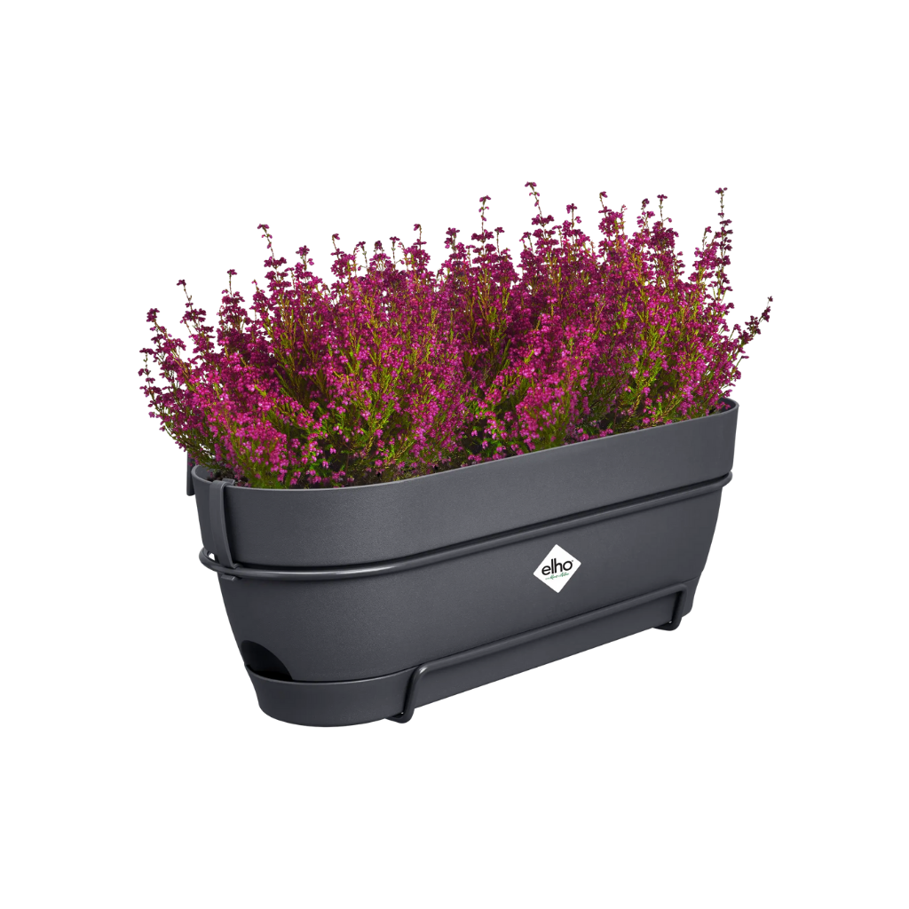 Elho Balkonbak Vibia Campana Allin1 Antraciet 50.4 x 26 x 17.7 cm