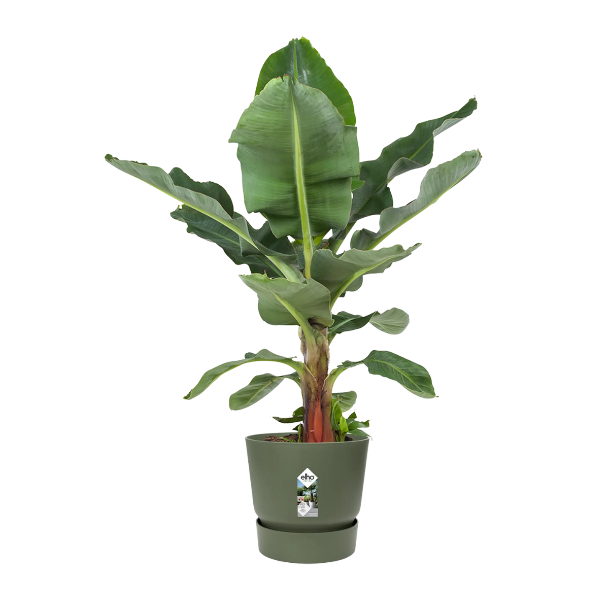 Elho Bloempot Greenville Rond Blad Groen 55 x 50 cm