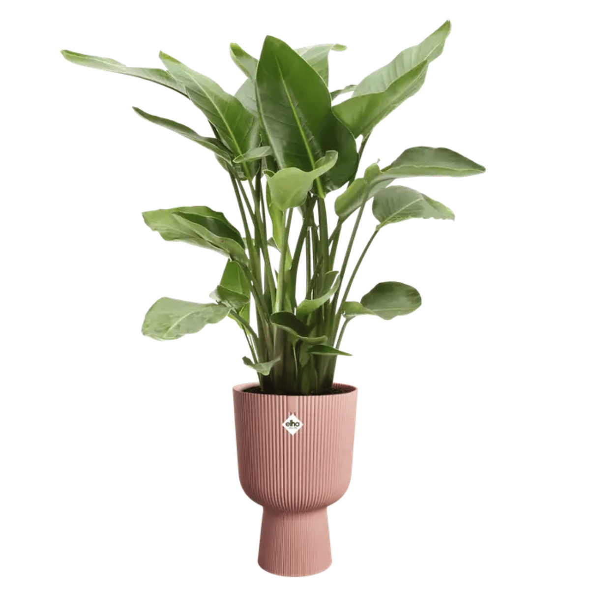Elho Bloempot Vibes Fold Coupe Roze 30 x 45 cm