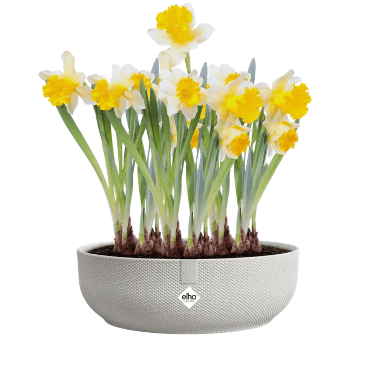 Elho Bloempot Jazz Rond Wit 28 x 9 cm
