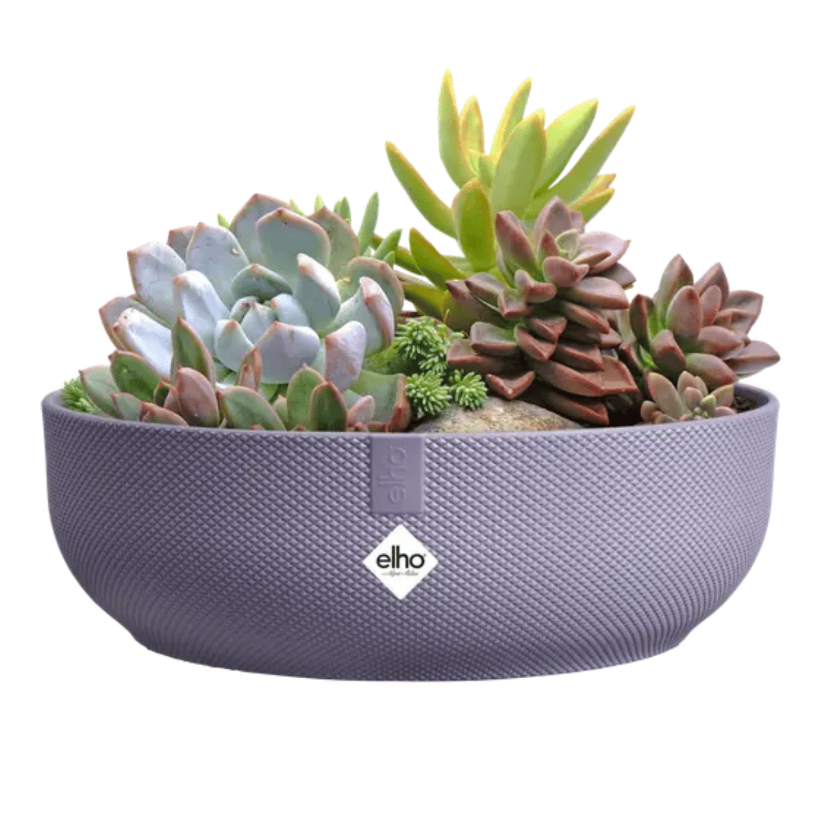 Elho Bloempot Jazz Rond Paars 28 x 9 cm