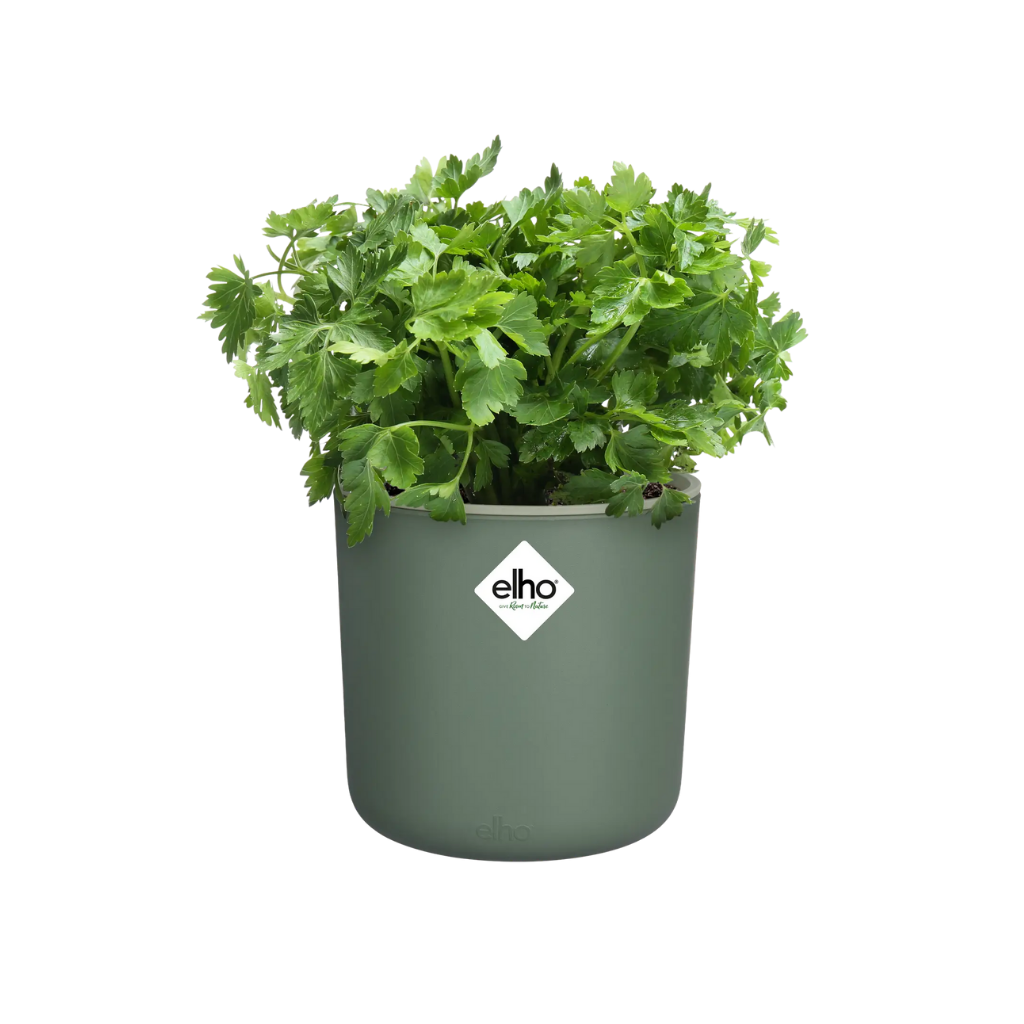 Elho happy herbs groen 14cm