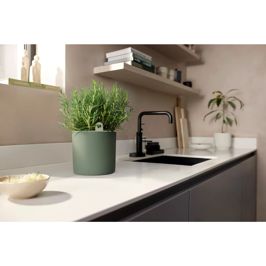 Elho happy herbs groen 14cm
