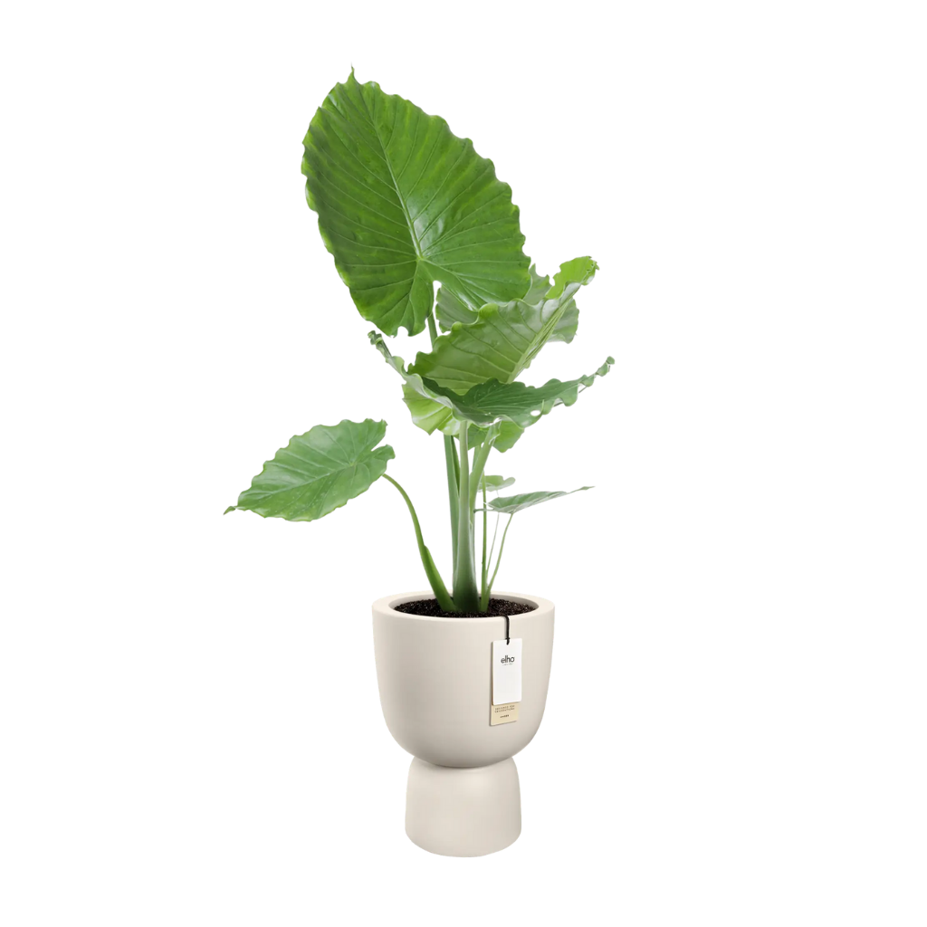 Elho Amber Coupe 35 Linnen wit - ø 35 x H 49 cm - 100% gerecycled