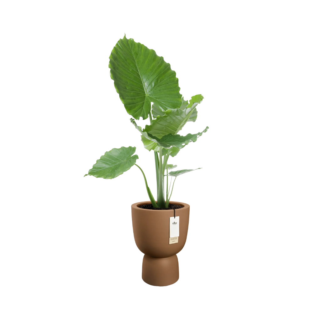 Elho Amber Coupe Round 41 Karamel - ø 41 x H 58 cm - 100% gerecycled
