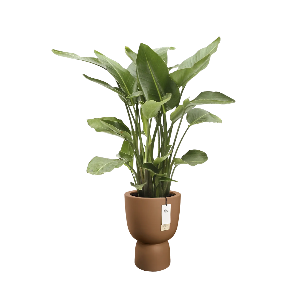 Elho Amber Coupe Round 41 Karamel - ø 41 x H 58 cm - 100% gerecycled