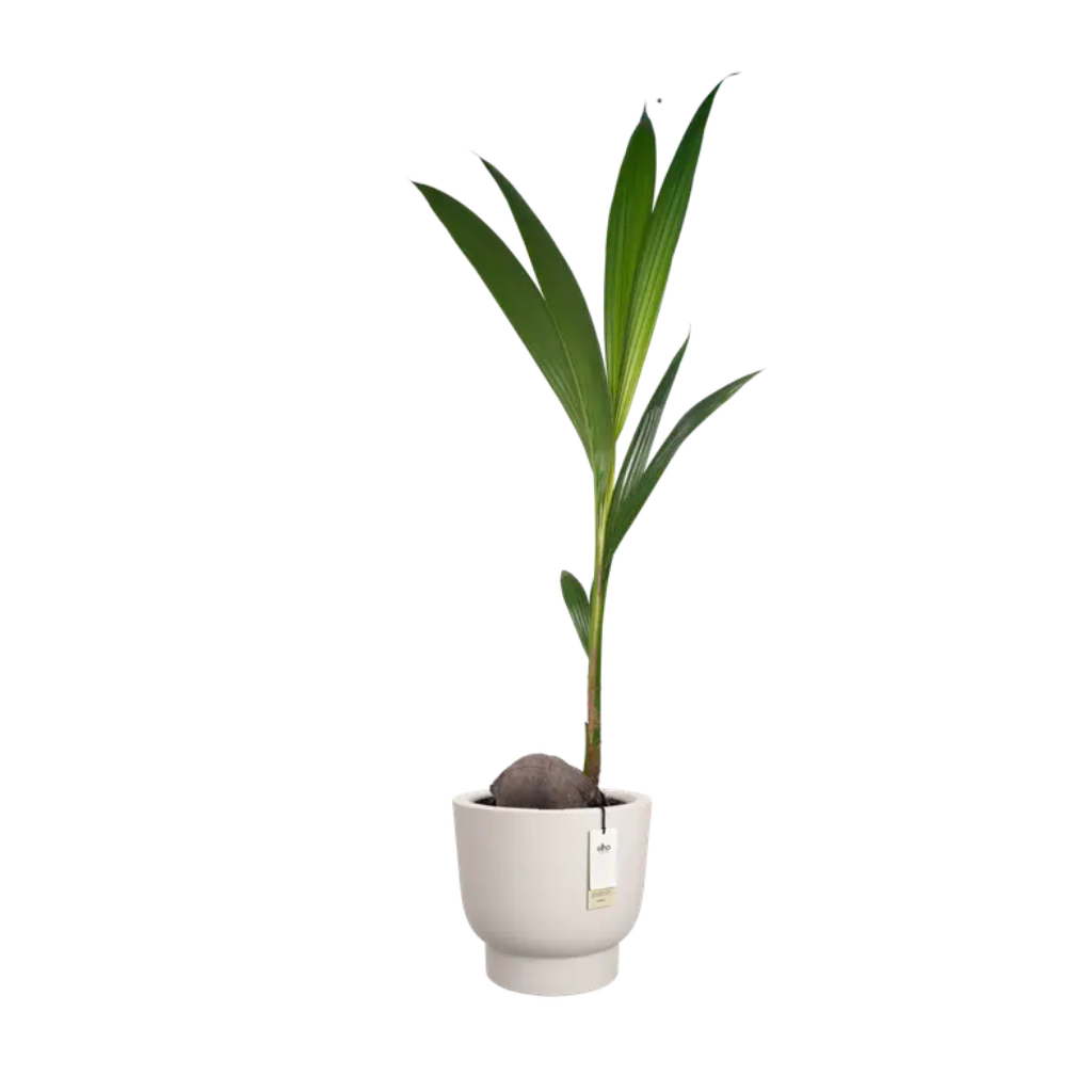 Elho Amber Grail 40 Linnen wit - ø 38 x H 36 cm - 100% gerecycled