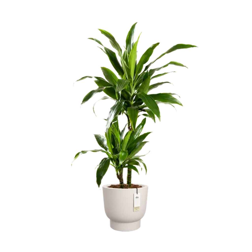 Elho Amber Grail 40 Linnen wit - ø 38 x H 36 cm - 100% gerecycled