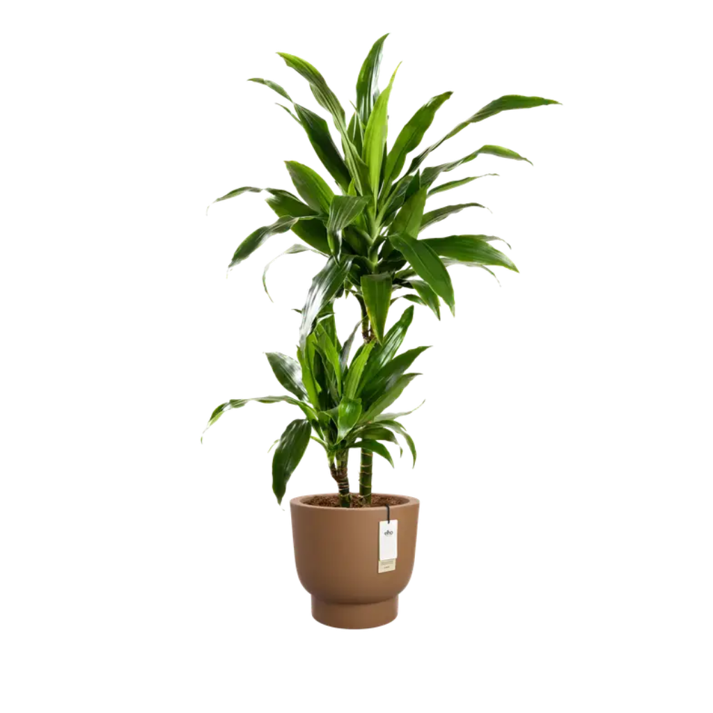 Elho Amber Grail 40 Karamel - ø 38 x H 36 cm - 100% gerecycled
