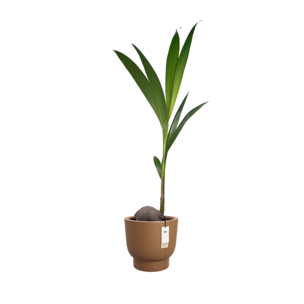 Elho Amber Grail 40 Karamel - ø 38 x H 36 cm - 100% gerecycled