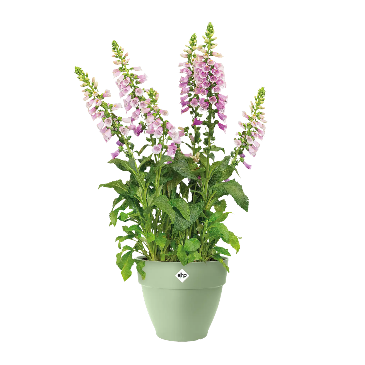 Elho Bloempot Vibia Campana Rond Pistachegroen 25 x 21 cm