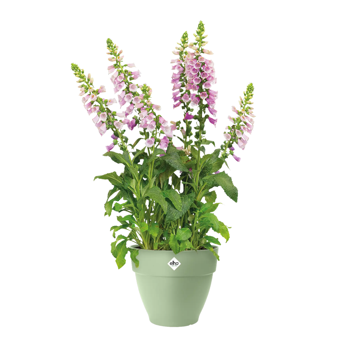 Elho Bloempot Vibia Campana Rond Pistachegroen 35 x 30 cm